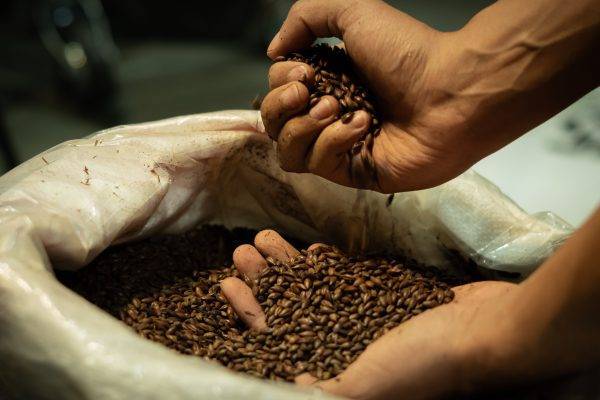 CAPITAL CERVECERA_-20